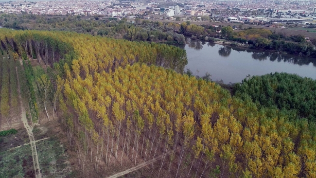 Edirne'de doğa sonbahar renkleriyle bezendi