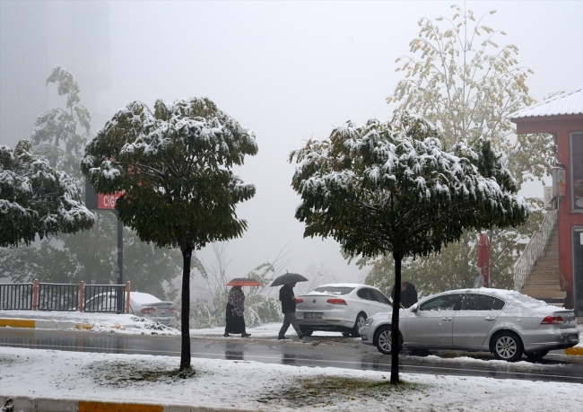 Muş ve Bitlis'te yoğun kar yağışı etkili oldu