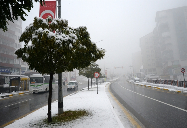 Muş ve Bitlis'te yoğun kar yağışı etkili oldu