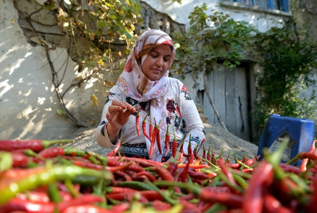 Bilecik'in balkonlarda kurutulan kırmızıbiberleri sofraları lezzetlendiriyor