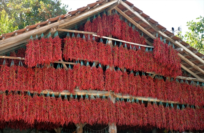 Bilecik'in balkonlarda kurutulan kırmızıbiberleri sofraları lezzetlendiriyor