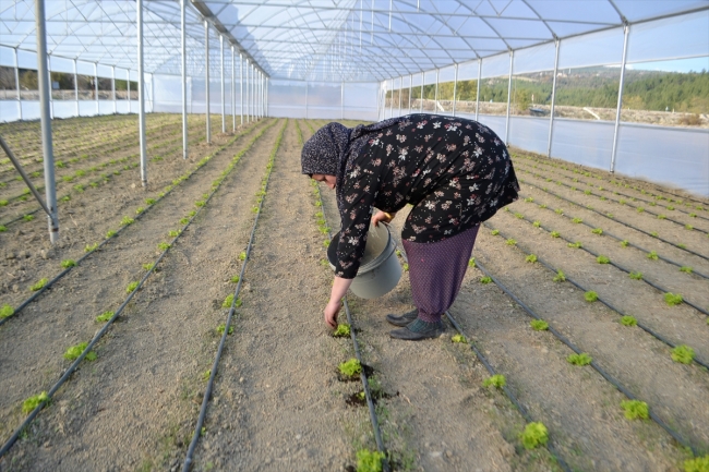 Ev kadını "solucan gübresi" ile ticarete atıldı