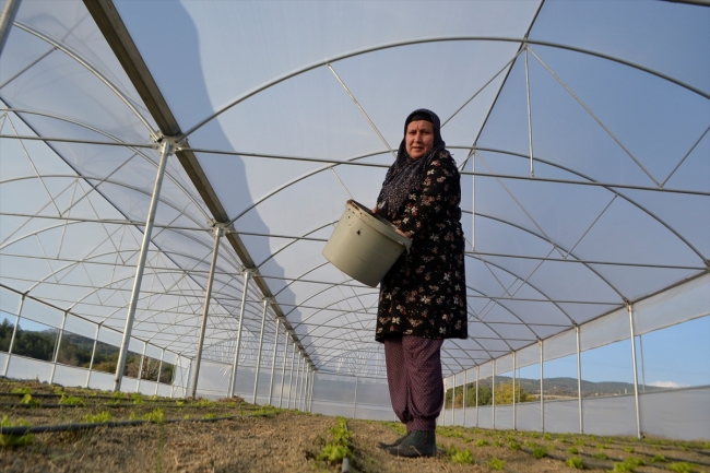 Ev kadını "solucan gübresi" ile ticarete atıldı