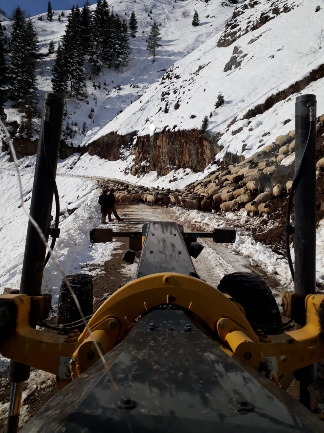 Trabzon'da yaylalarda mahsur kalan kişiler kurtarıldı
