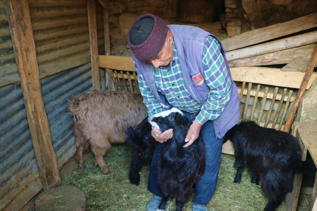 Evlerinde sergiledikleri eşyalarla Yörük kültürünü tanıtıyorlar