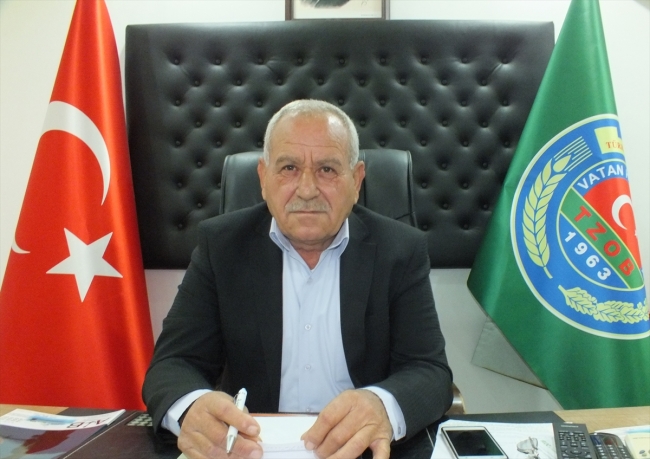 Mersin'de üreticiler limonu yaza saklıyor