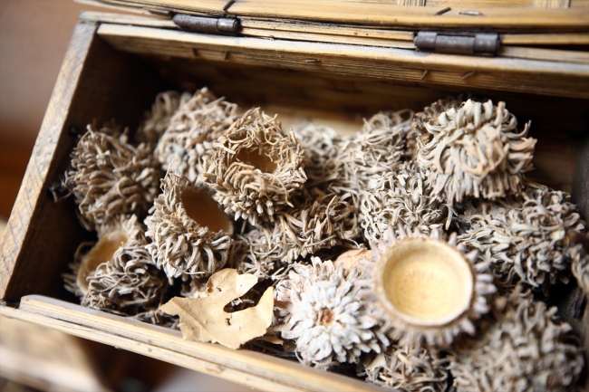 Yöre halkının geçim kaynağı Bayat kilimleri dayanıklılığı ile biliniyor