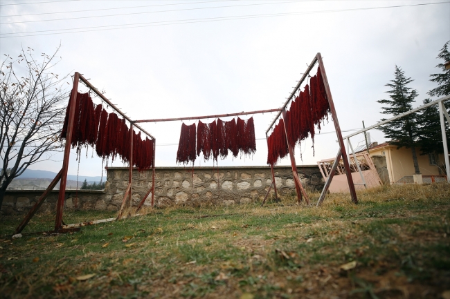Yöre halkının geçim kaynağı Bayat kilimleri dayanıklılığı ile biliniyor