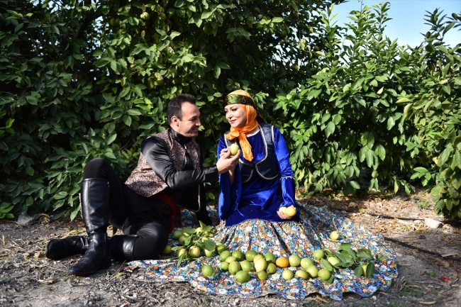 30 ülkeden geldiler, yöresel kıyafetleriyle narenciye topladılar