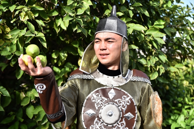 30 ülkeden geldiler, yöresel kıyafetleriyle narenciye topladılar