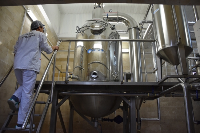 Hükümlülerin yetiştirdiği ürünler yoğun talep görüyor