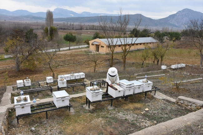 Hükümlülerin yetiştirdiği ürünler yoğun talep görüyor
