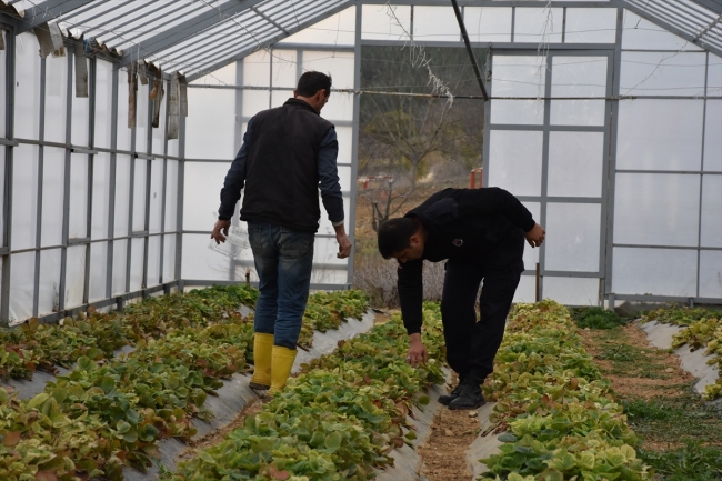 Hükümlülerin yetiştirdiği ürünler yoğun talep görüyor