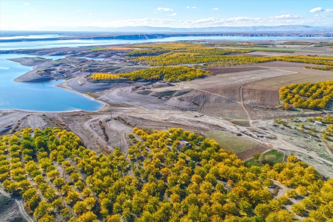 Elazığ'ın kayısı bahçelerinde sonbahar güzelliği