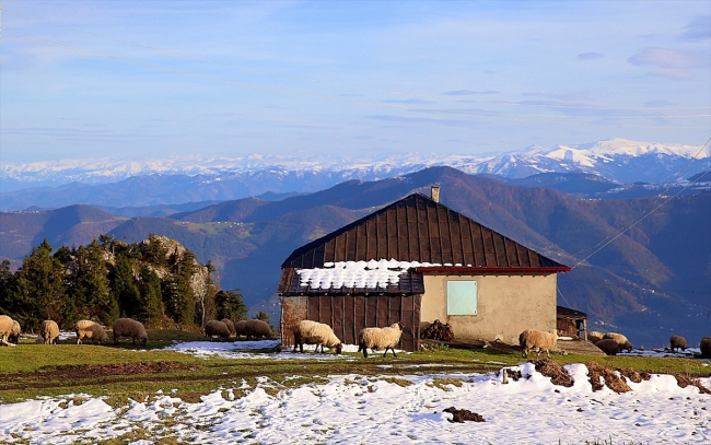 Doğal güzellikleriyle öne çıkan Hıdırnebi Yaylası turizme kazandırılıyor