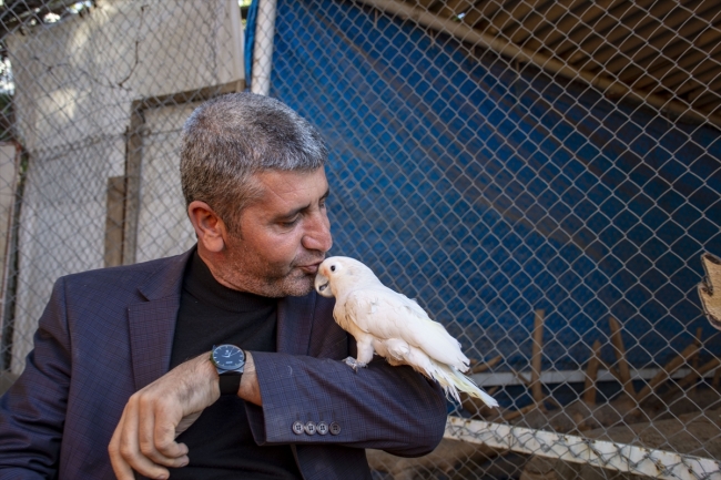 Bahçesinde beslediği 25 tür hayvanıyla stresten uzak yaşıyor