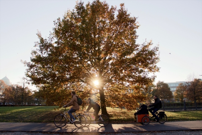 Hollanda'nın yaşam biçimi: Bisikletler