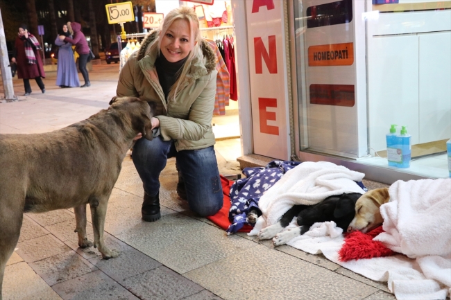 Hayvanlar üşümesin diye mağazasının önüne battaniye serdi
