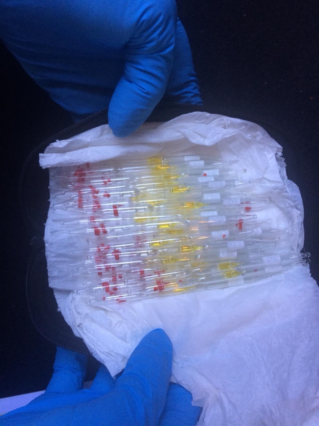 Antalya'da "kobra zehri" operasyonu