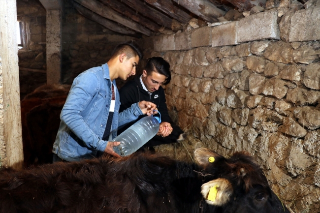 Tuz ihtiyaçlarını kuyudan karşılıyorlar