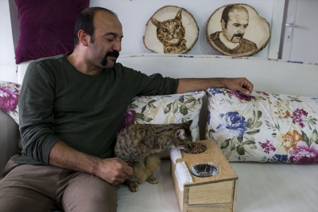 İki bacağı olmayan kedinin rahat yaşaması için çabalıyor