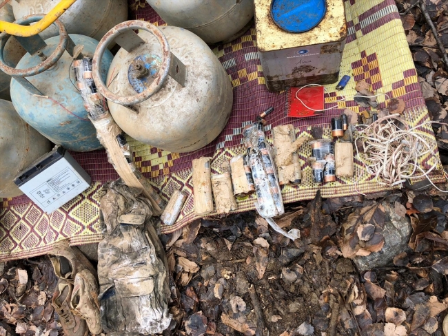 Bitlis'te terör operasyonu