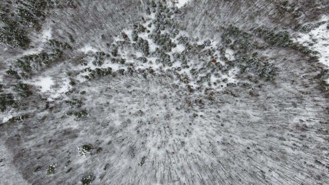 Kastamonu ormanlarında "beyaz örtü"nün eşsiz güzelliği