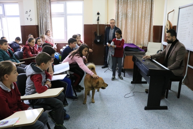 Müzik derslerine "Aslan" isimli köpek de giriyor