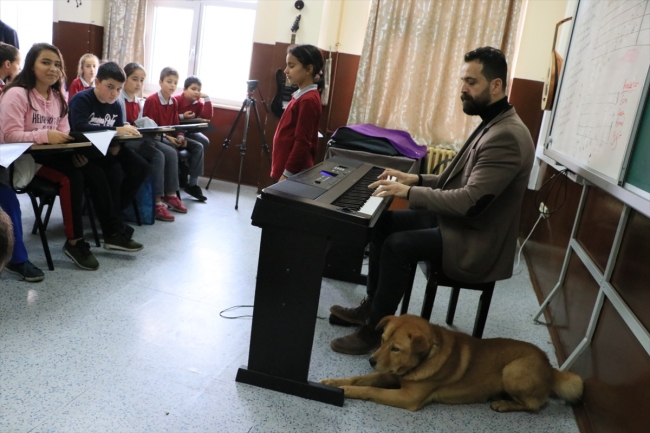 Müzik derslerine "Aslan" isimli köpek de giriyor