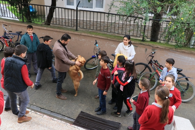 Müzik derslerine "Aslan" isimli köpek de giriyor