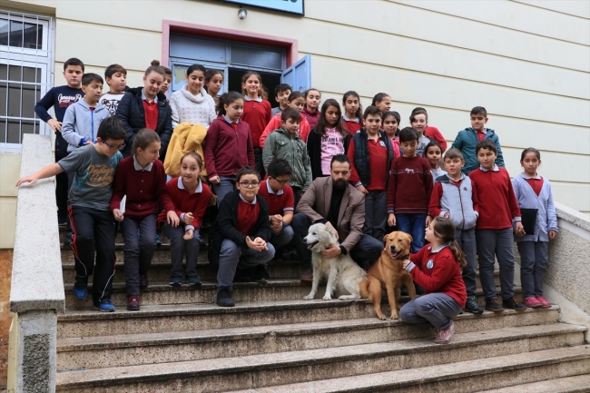 Müzik derslerine "Aslan" isimli köpek de giriyor