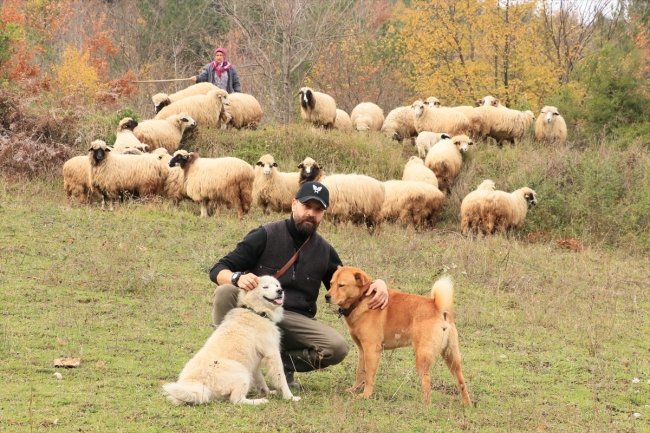 Müzik derslerine "Aslan" isimli köpek de giriyor