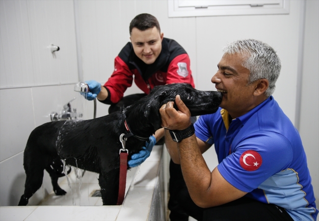Hayat kurtaran köpekler özenle yetiştiriliyor