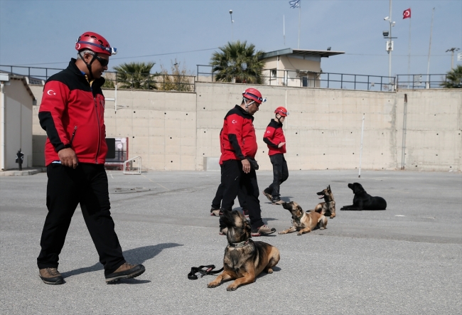 Hayat kurtaran köpekler özenle yetiştiriliyor