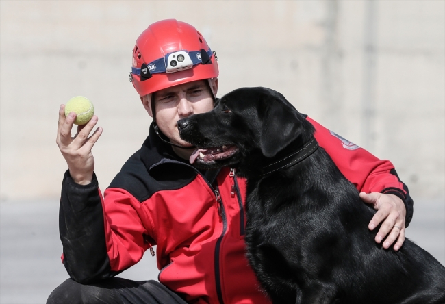 Hayat kurtaran köpekler özenle yetiştiriliyor
