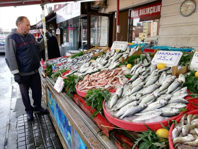 Batı Karadeniz'de çinekop bolluğu