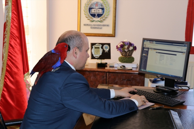 Aydın'ın çocuklara hayvan sevgisi aşılayan kuşlarla dolu ilkokulu