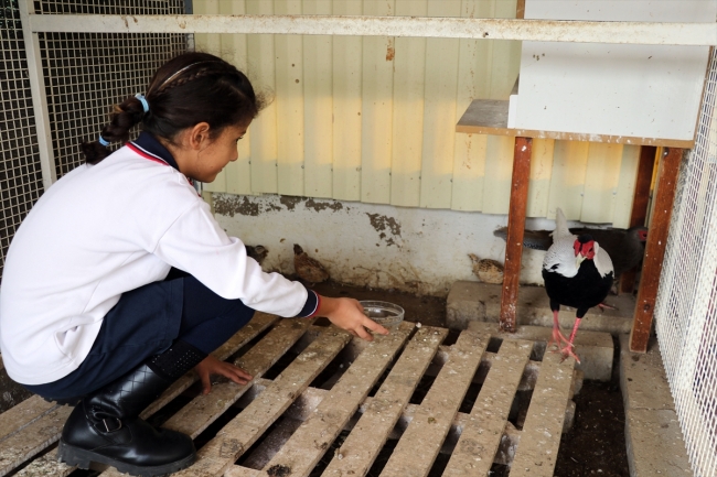 Aydın'ın çocuklara hayvan sevgisi aşılayan kuşlarla dolu ilkokulu