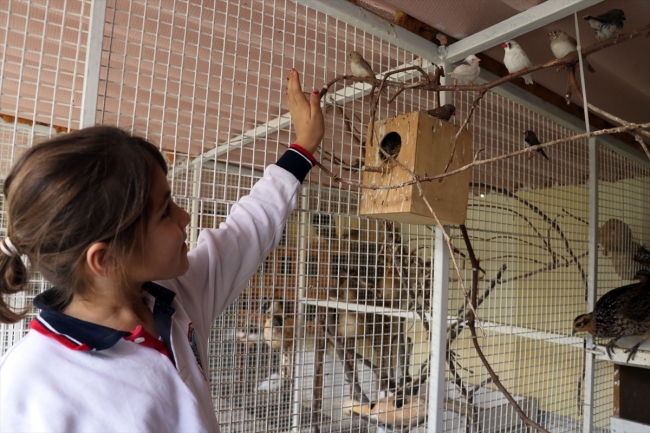 Aydın'ın çocuklara hayvan sevgisi aşılayan kuşlarla dolu ilkokulu