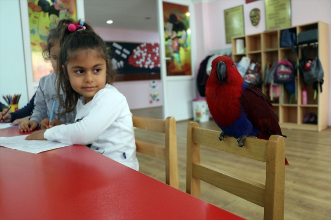 Aydın'ın çocuklara hayvan sevgisi aşılayan kuşlarla dolu ilkokulu