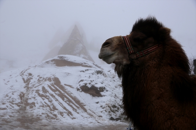 Kapadokya'da kar yağışından sonra sis etkili oldu