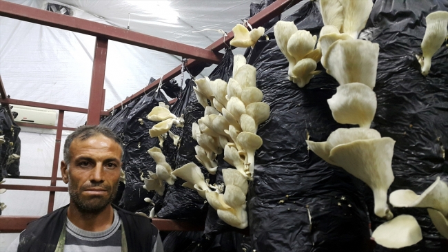 Engelli çoban devlet desteğiyle üretici oldu