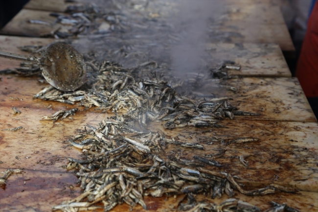 Ordu'da Hamsi Şenliği'nde bir ton hamsi dağıtıldı