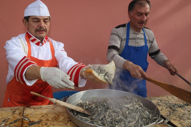 Ordu'da Hamsi Şenliği'nde bir ton hamsi dağıtıldı