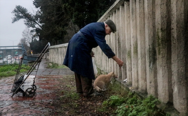 Hayvan dostları her sabah yolunu gözlüyor