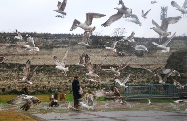 Hayvan dostları her sabah yolunu gözlüyor