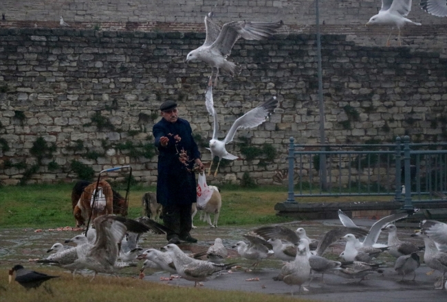 Hayvan dostları her sabah yolunu gözlüyor