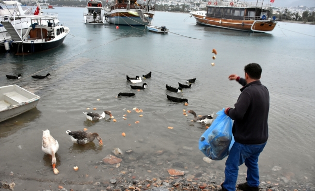 "Fırıncı Orhan" sokak hayvanlarına da servis yapıyor