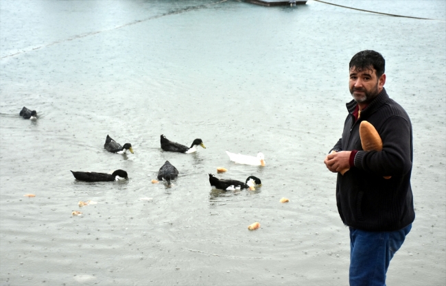 "Fırıncı Orhan" sokak hayvanlarına da servis yapıyor