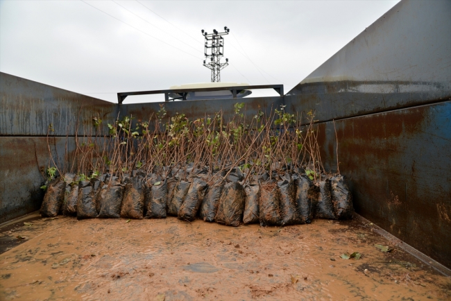 Meyvecilik Projesi çiftçinin gelirini artıracak